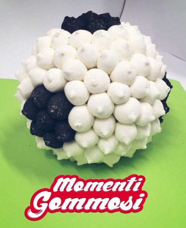 Pallone da calcio