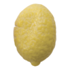 GOMMA FRUTTERO 100 GR - immagine 3